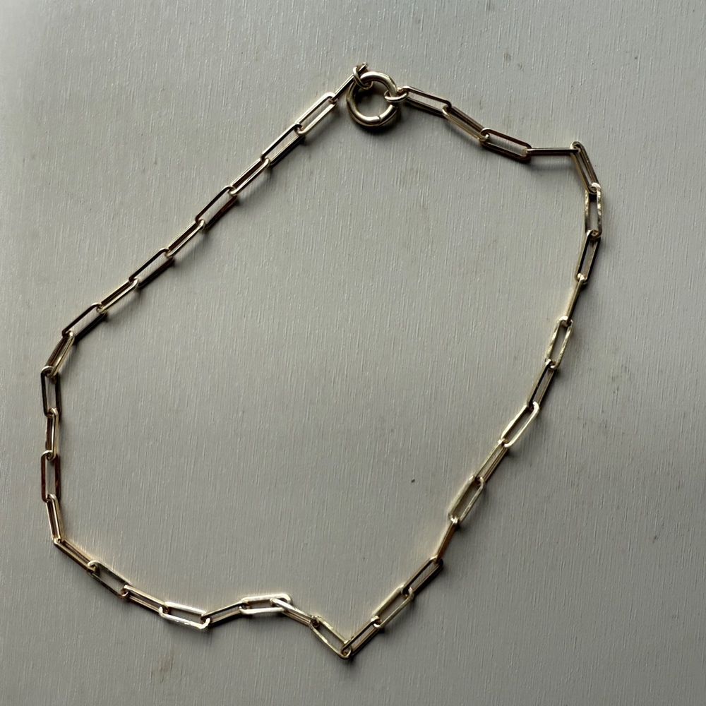 HOLD DO NOT BUY Mejuri Elegant Gold Paperclip Chain Charm Necklace